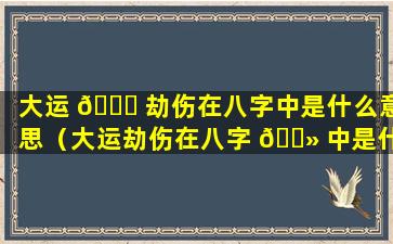 大运 🐈 劫伤在八字中是什么意思（大运劫伤在八字 🌻 中是什么意思呀）